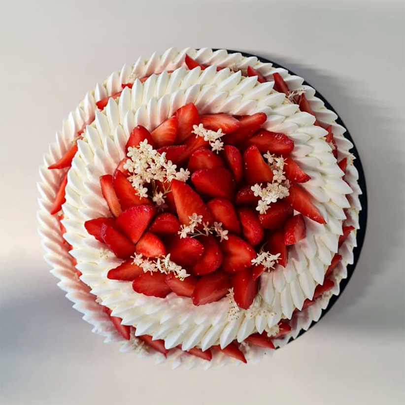 Fraisier-top-822 Fraisier summer 2021 by Nina Métayer