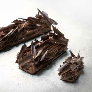 Walk in the forest the traditional Yule log 2021 by Nina Métayer